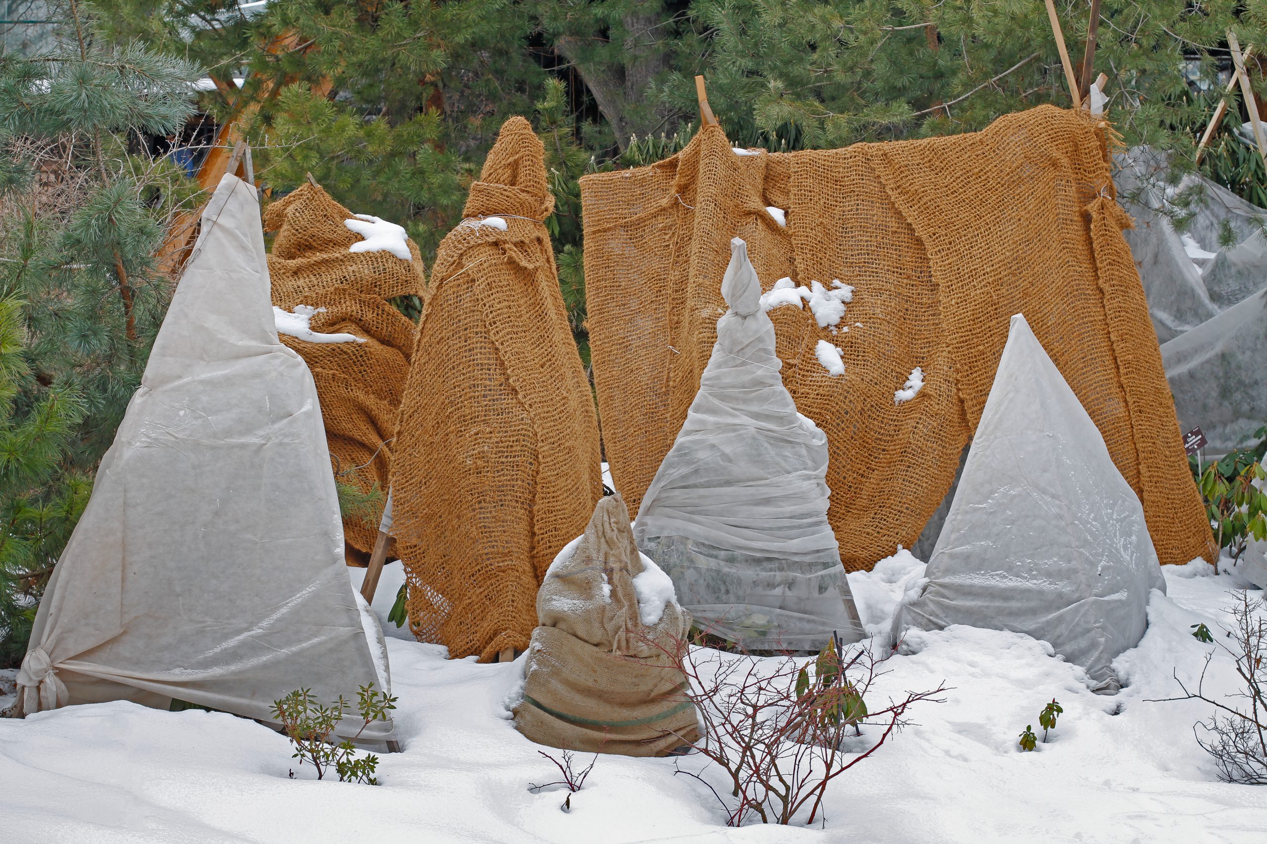 Pflanzen vor Frost schtzen - Wohnen in Sdwestfalen