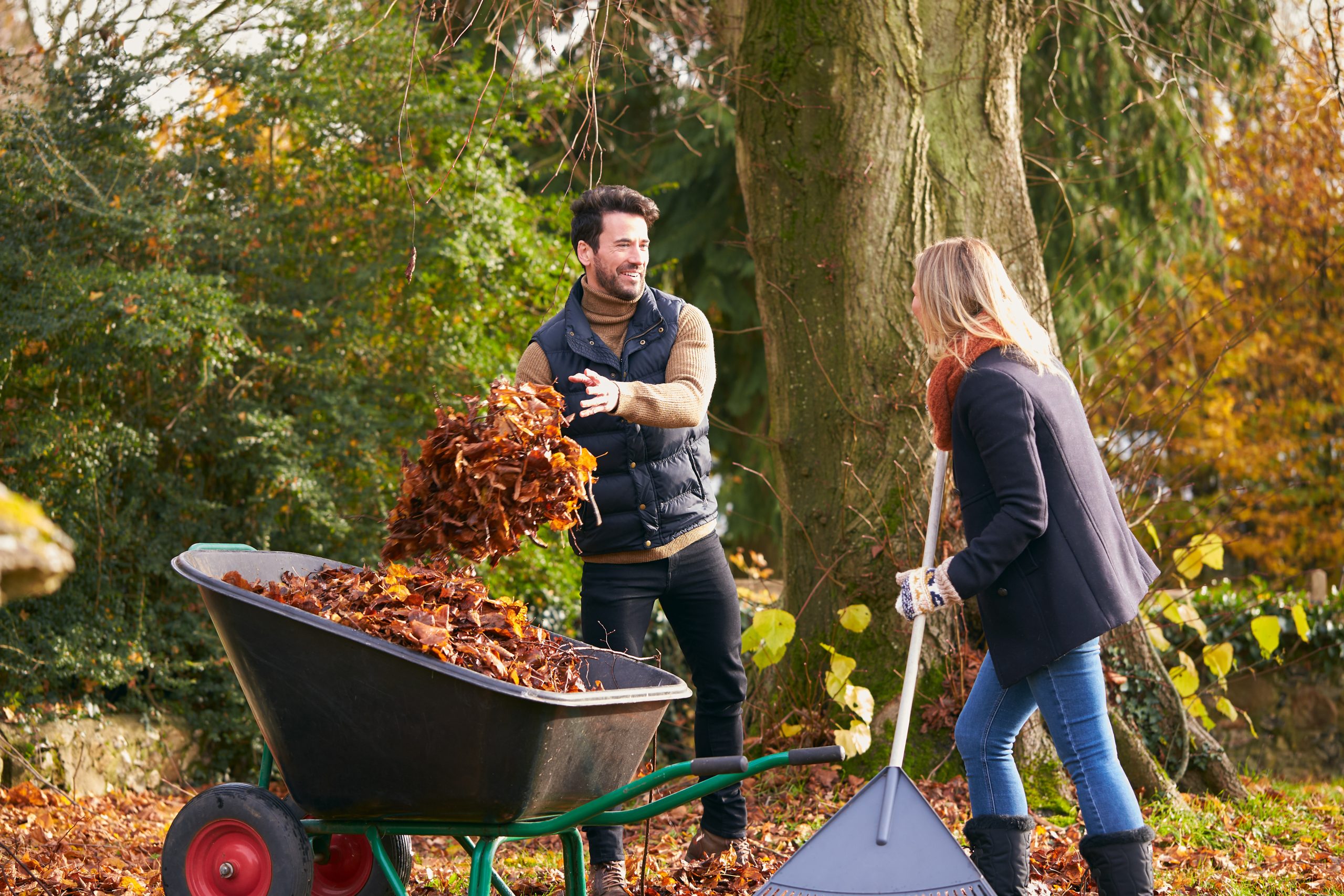Paar sammelt Herbstblätter im Garten ein.